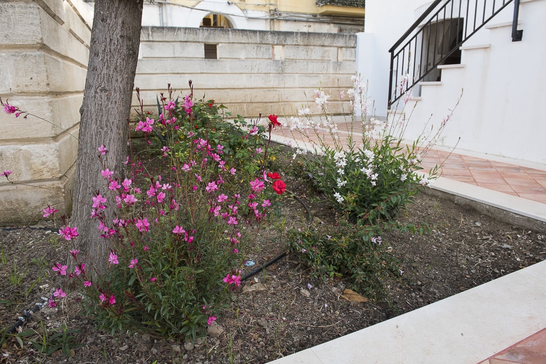 CLEARFIX premium website template