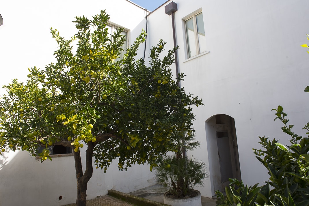 CLEARFIX premium website template