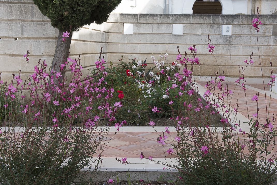 CLEARFIX premium website template