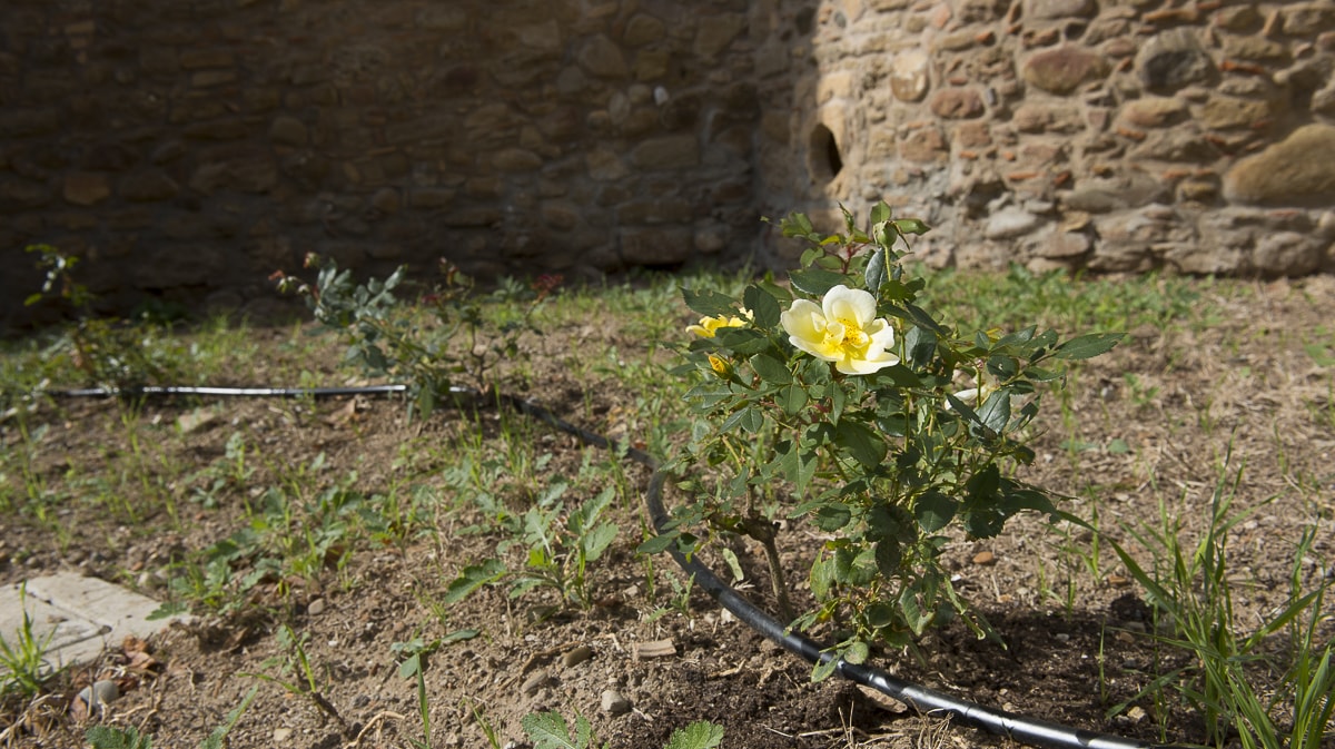 CLEARFIX premium website template