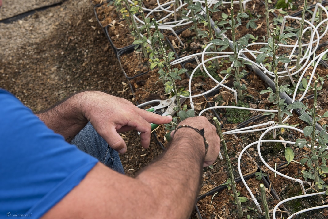 CLEARFIX premium website template