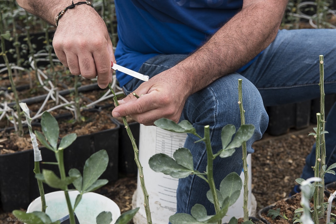 CLEARFIX premium website template